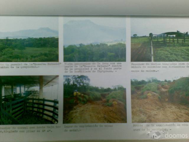 1300 ha agricola ganadera - 1