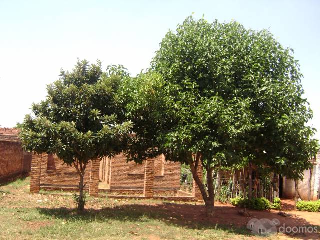 EXELENTE OPORTUNIDAD:TERRENO CON IMPORTANTES MEJORAS - 360 m2 - 1
